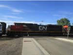 CN 8101